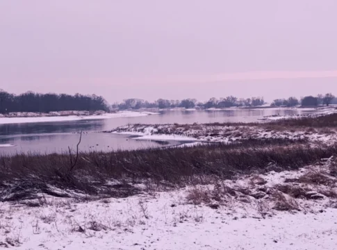 Winterwanderung im Elbvorland