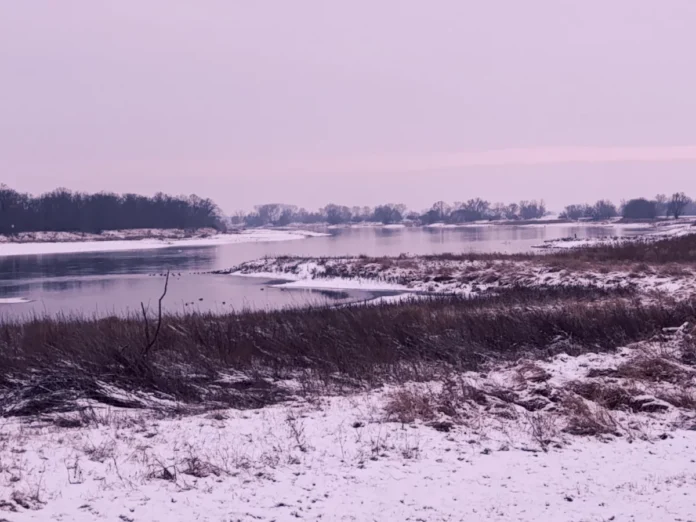 Winterwanderung im Elbvorland