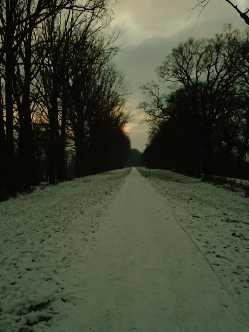 Winterdeich in der Dämmerung