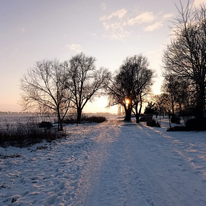 mit Schnee bedeckter Feldweg hinter einer Wohnsiedlung