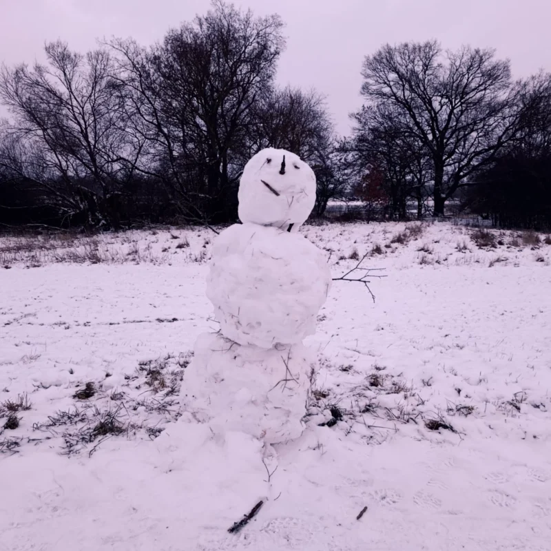 Schneemann auf dem Winterdeich