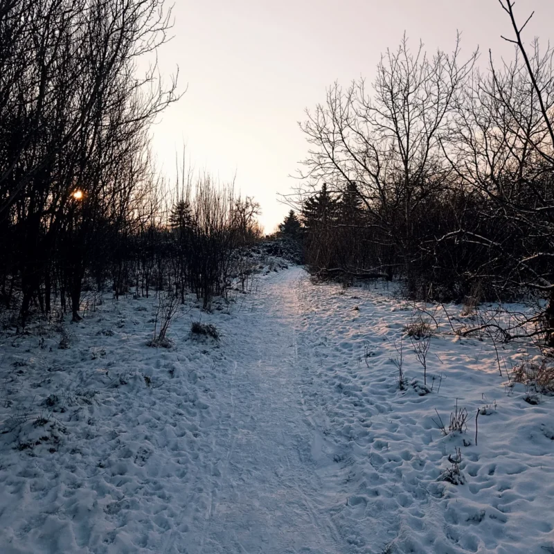Start der Winterwanderung durch einen Schleichweg