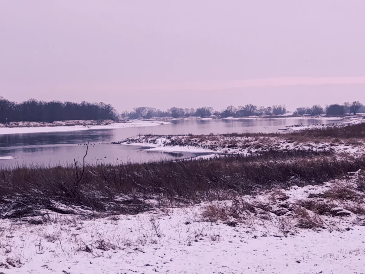 Winterwanderung im Elbvorland