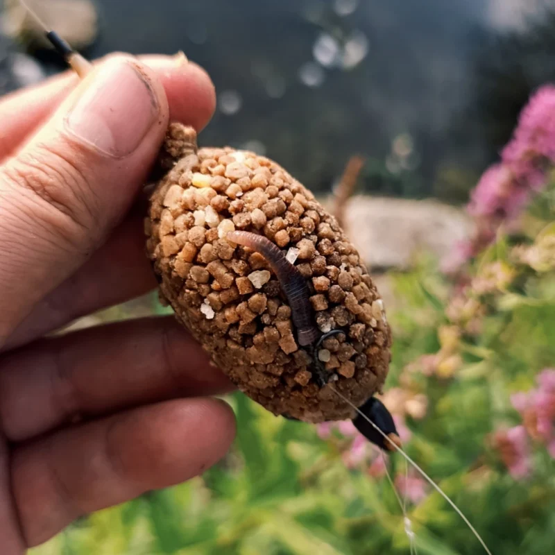 Wurm am Haar zwischen Micro Pellets auf einem Method Feeder