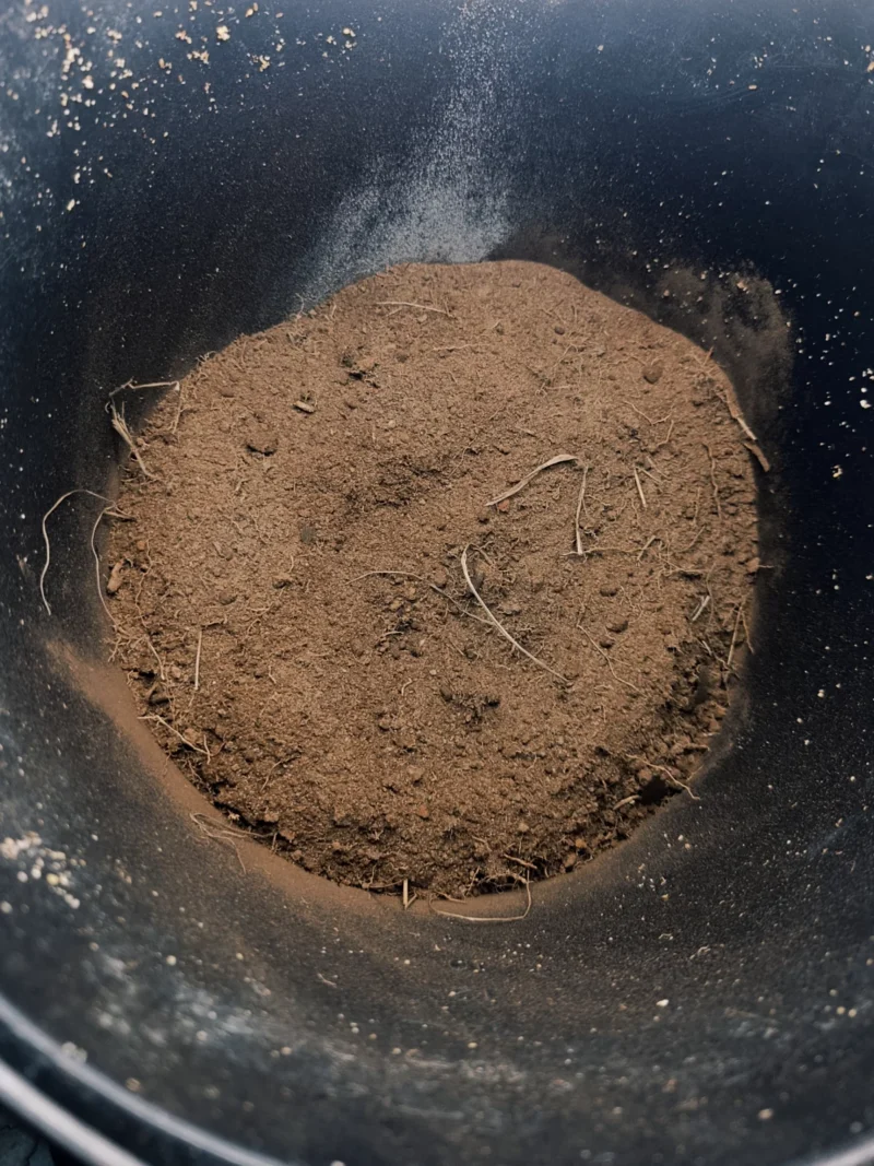 frische Wurmerde zum Austauschen in einem Eimer