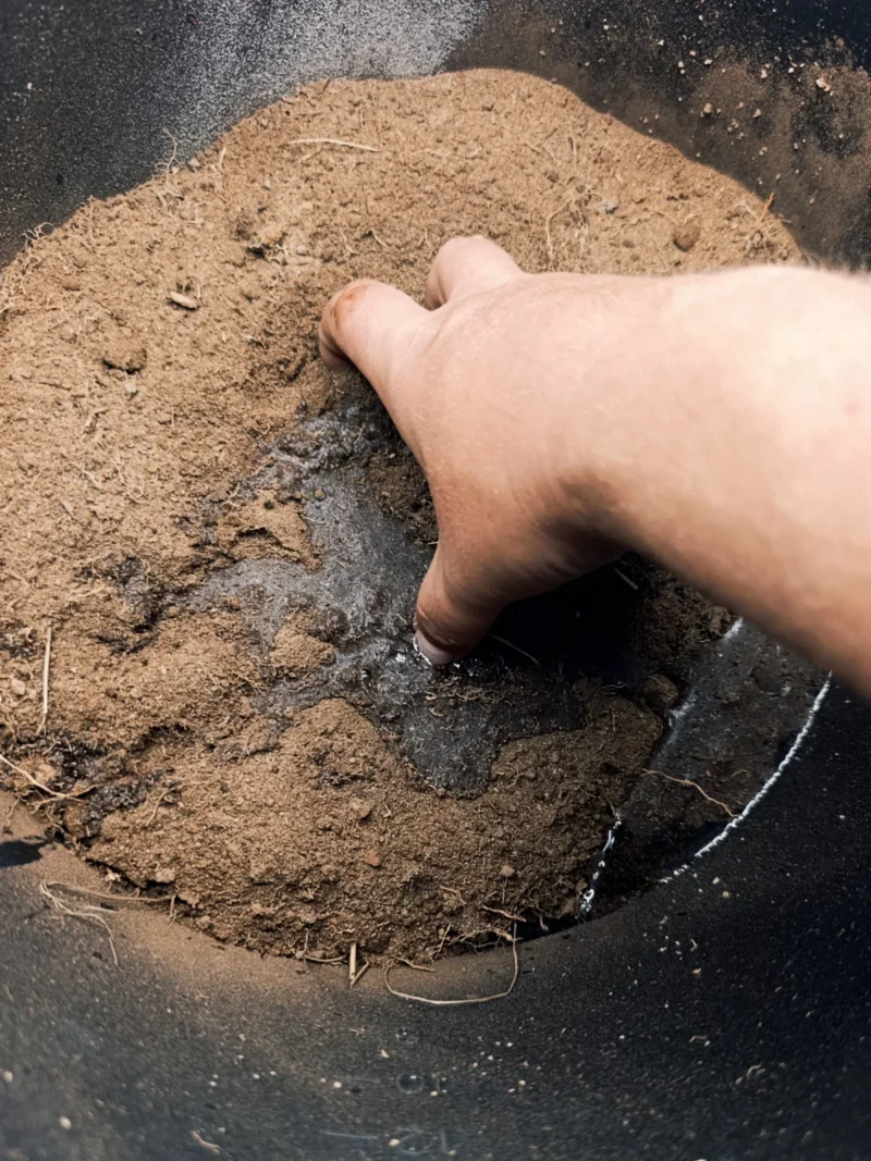 Wurmerde wird in einem Eimer mit Wasser verrührt
