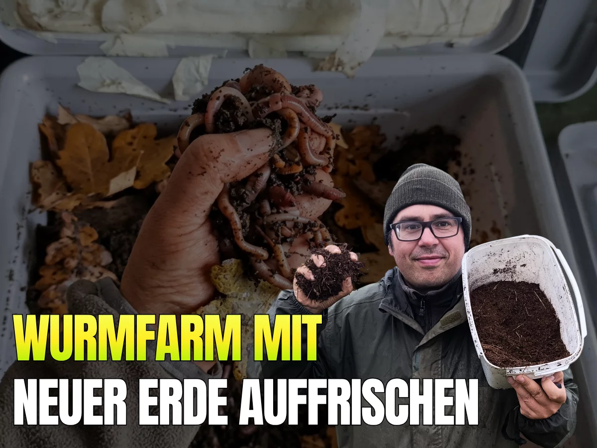 Wurmerde von Wurmfarm austauschen